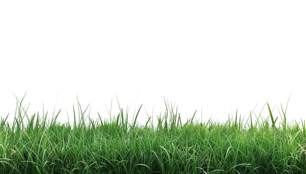 Green Grass Border Free PNG