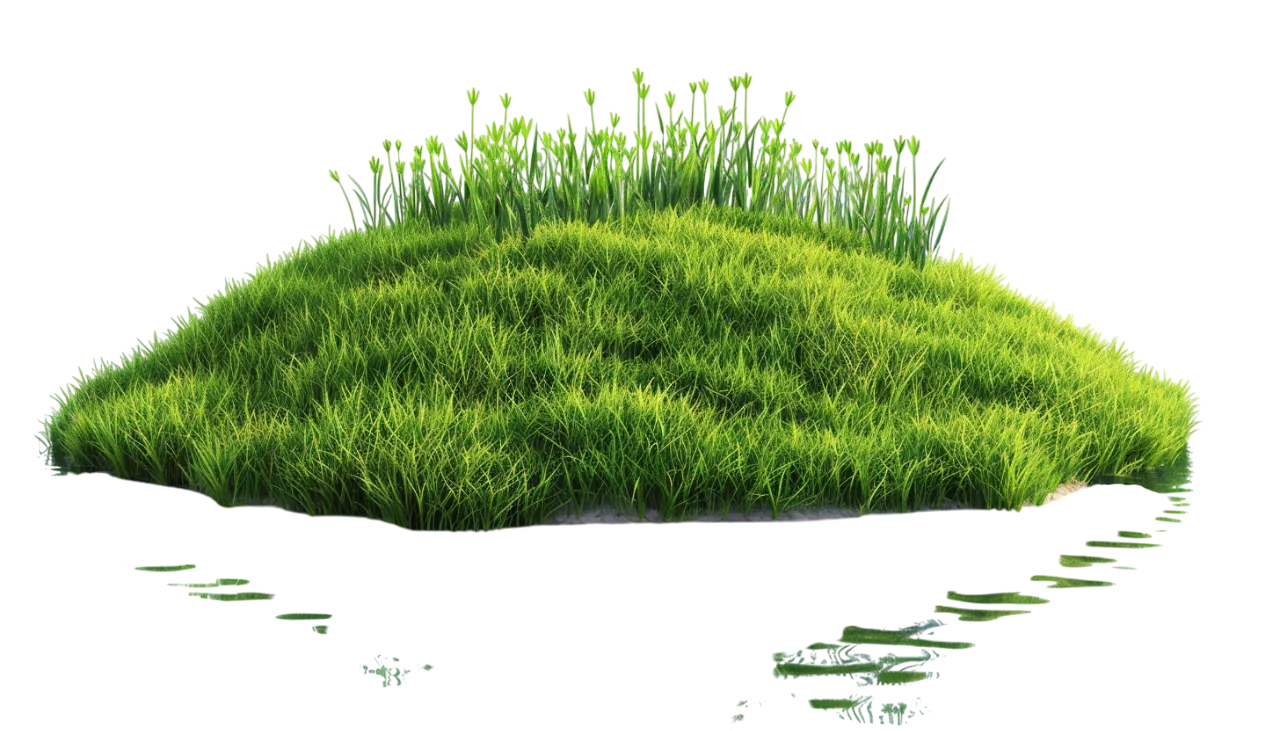 Lush Floating Grass Island Free PNG