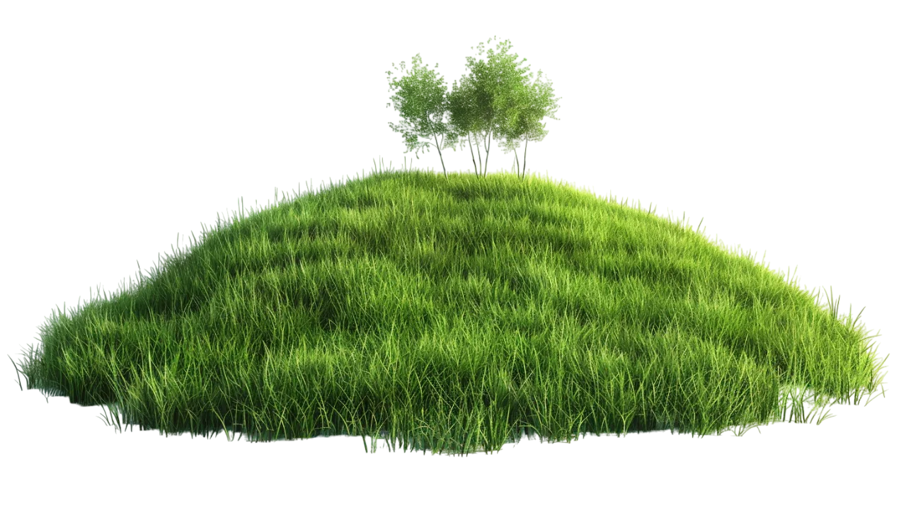 Green Grassy Hill with Trees – Free PNG