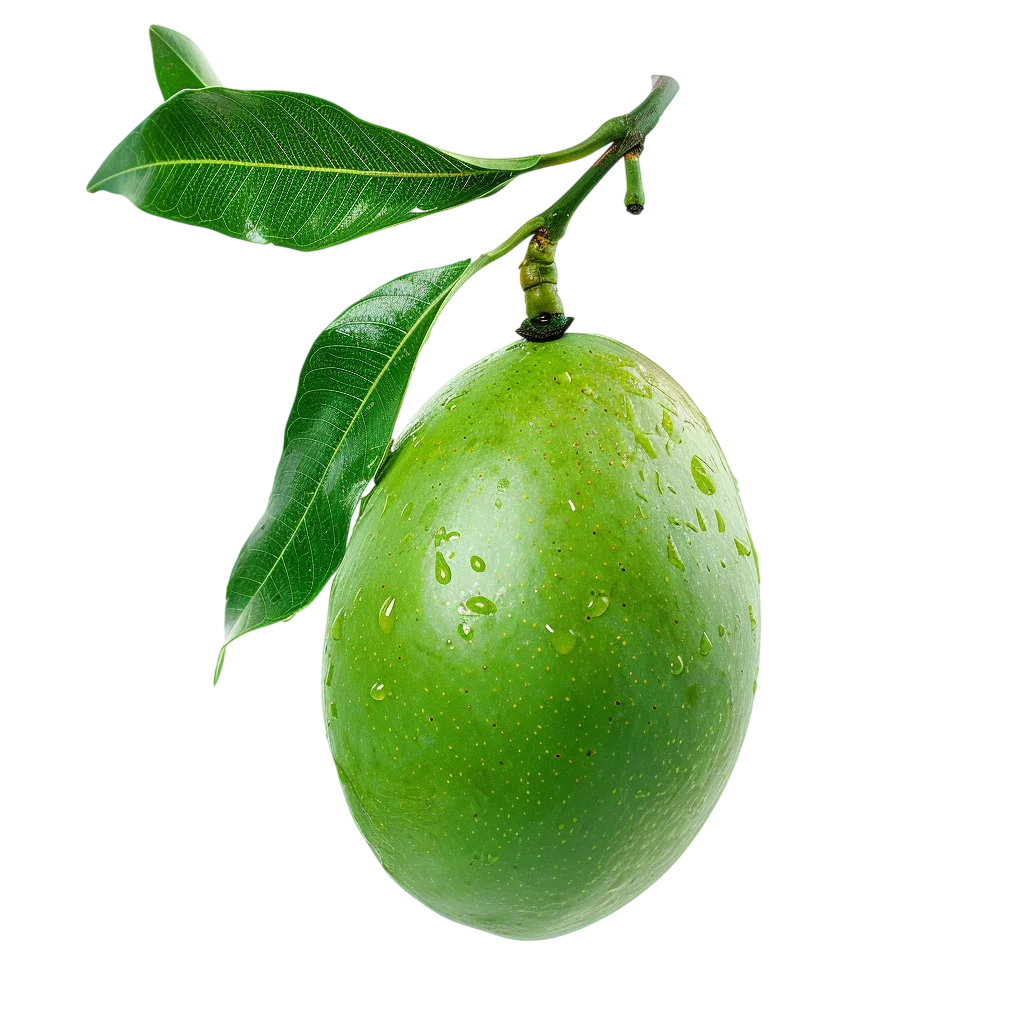 Green Mango on a Leafy Branch Free PNG