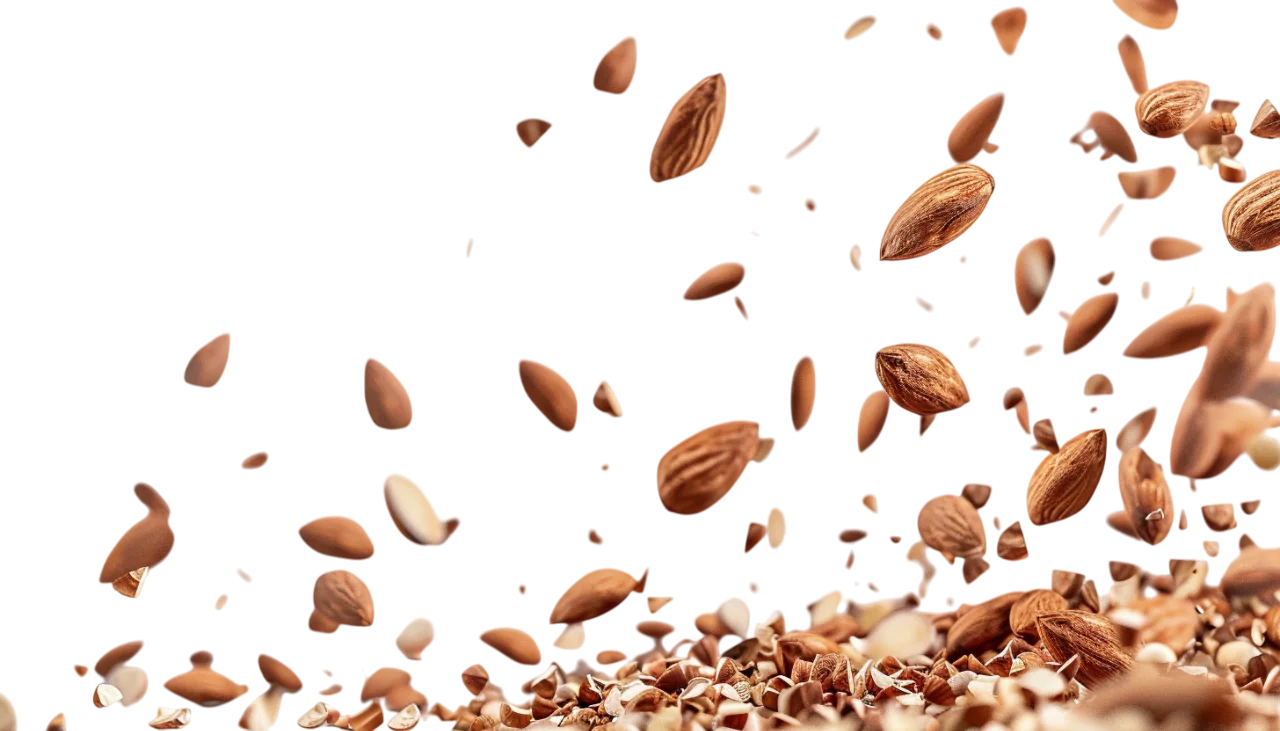 Falling Almonds and Nut Pile Free PNG