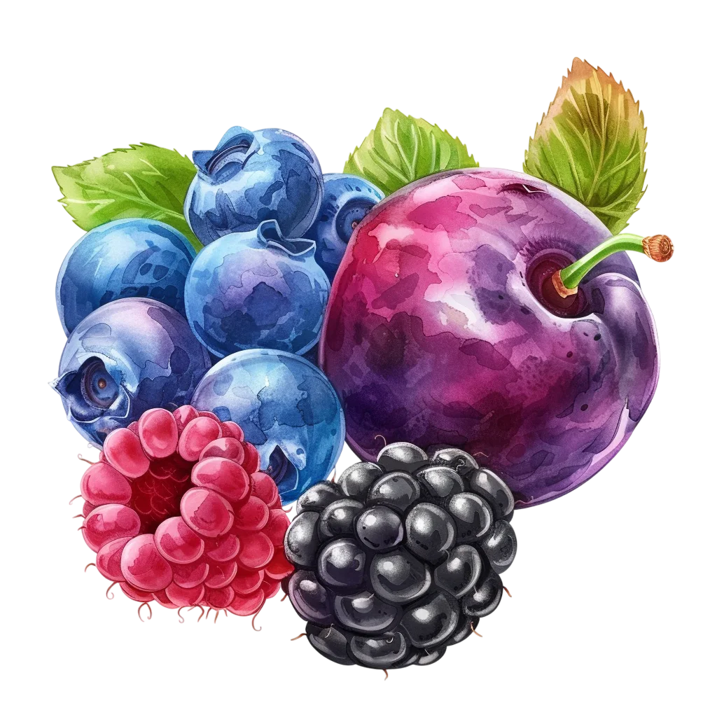 Watercolor Berry Cluster with Cherry and Free PNG