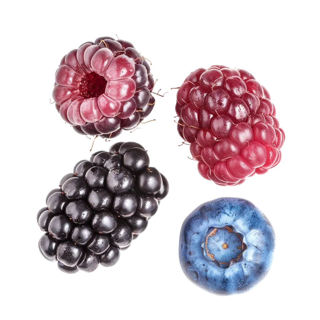 Realistic Assorted Berries Isolated on Black Free PNG