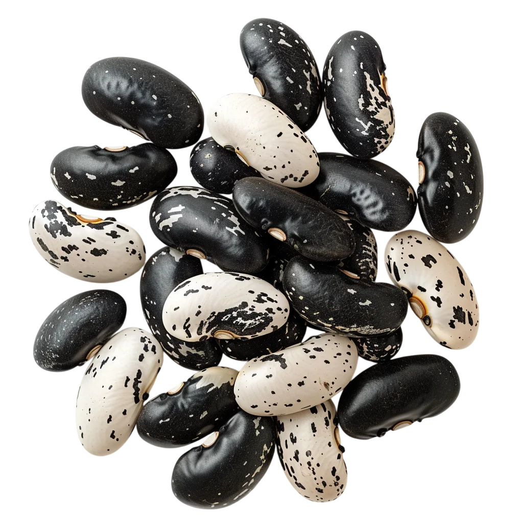 Black and Cream Speckled Beans Free PNG