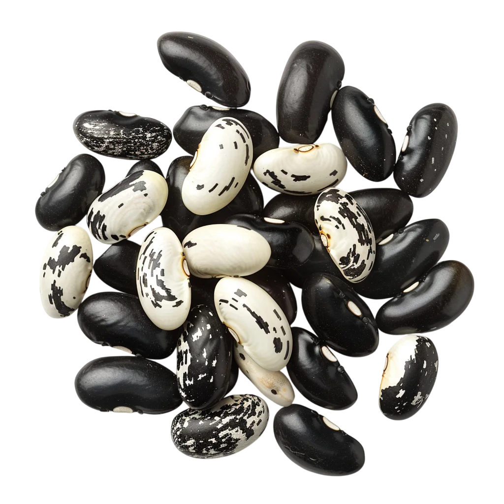 Black and White Mottled Beans Free PNG