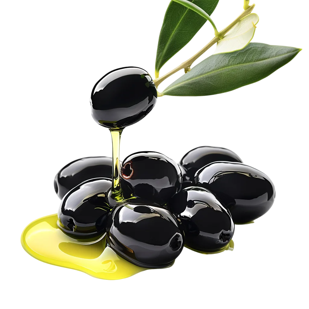 Black Olives with Olive Oil and Branch Free PNG