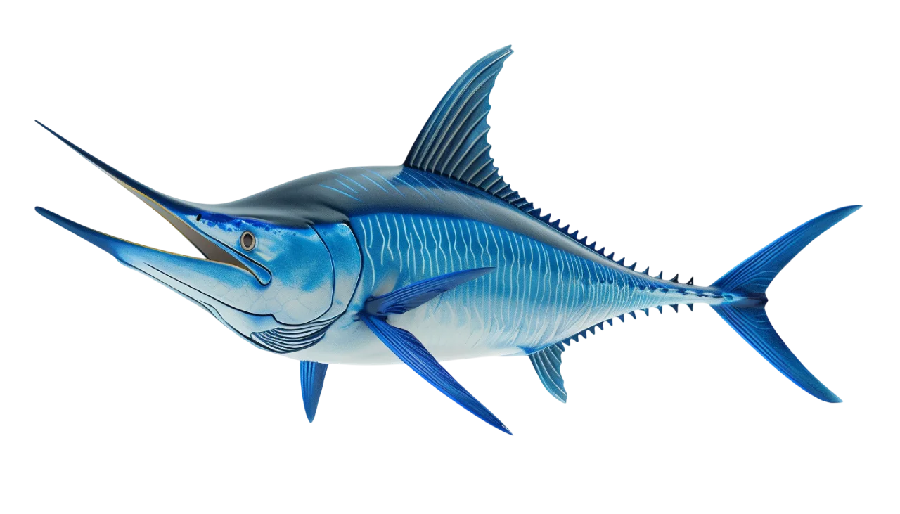 Blue Marlin Fish Illustration Free PNG
