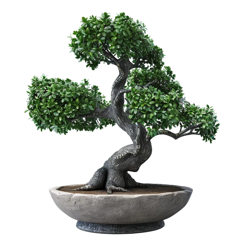 Sculptural Bonsai Tree in a Stone Planter - Free PNG