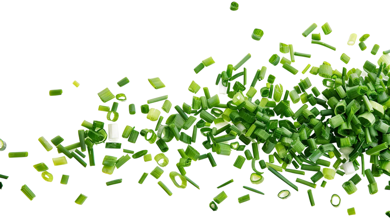 Scattered Chopped Green Onions in a Dynamic Burst | Free PNG