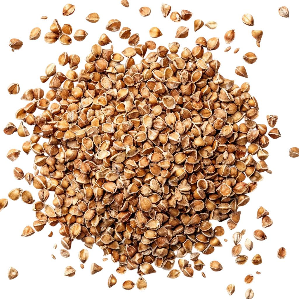 Pile of Brown Seed Shells Free PNG