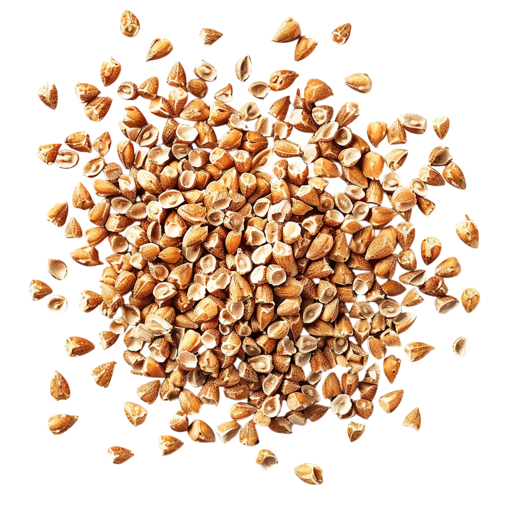 Scattered Chopped Almond Pieces Free PNG
