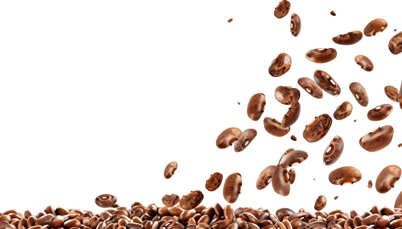 Falling Coffee Beans and Pile Free PNG