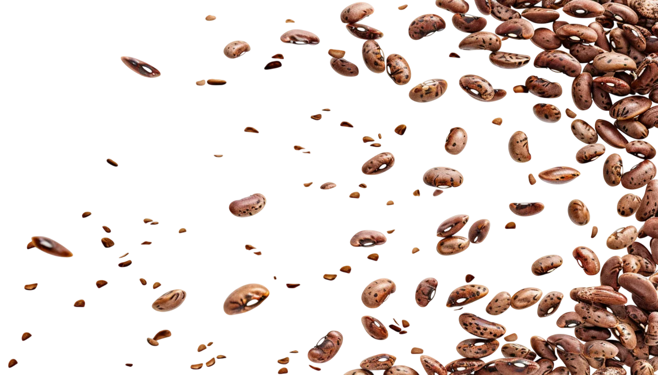 Scattered Pinto Beans on Transparent Background Free PNG