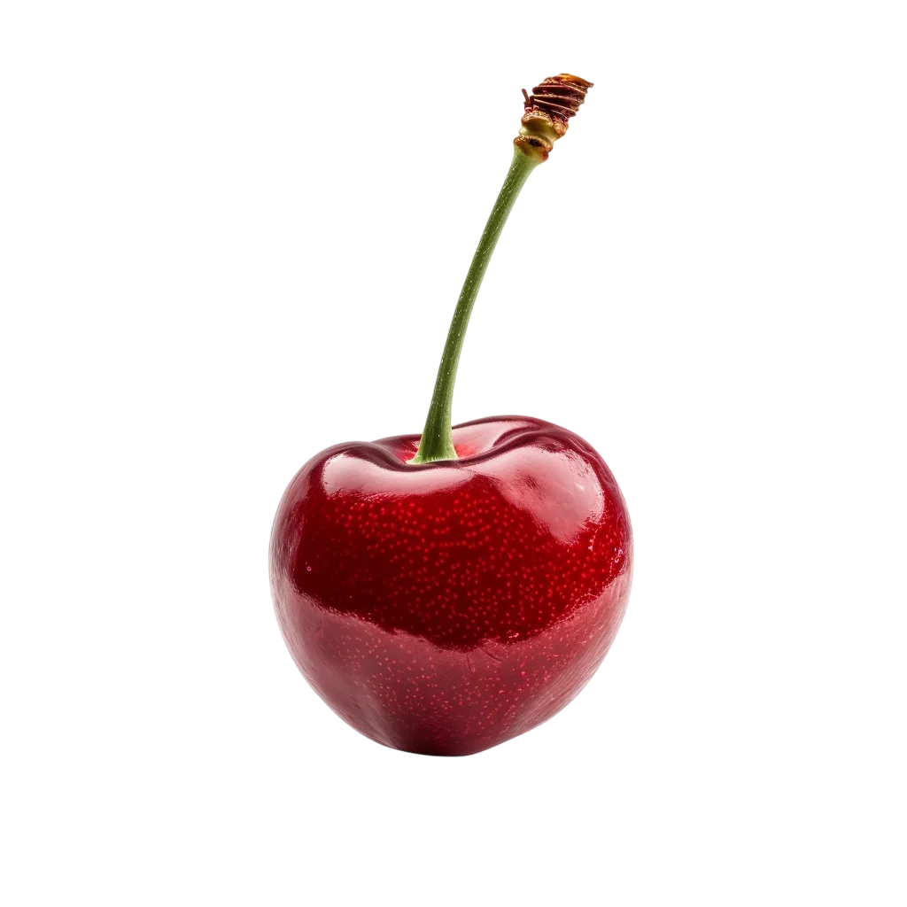 Glossy Red Cherry with Long Stem Free PNG