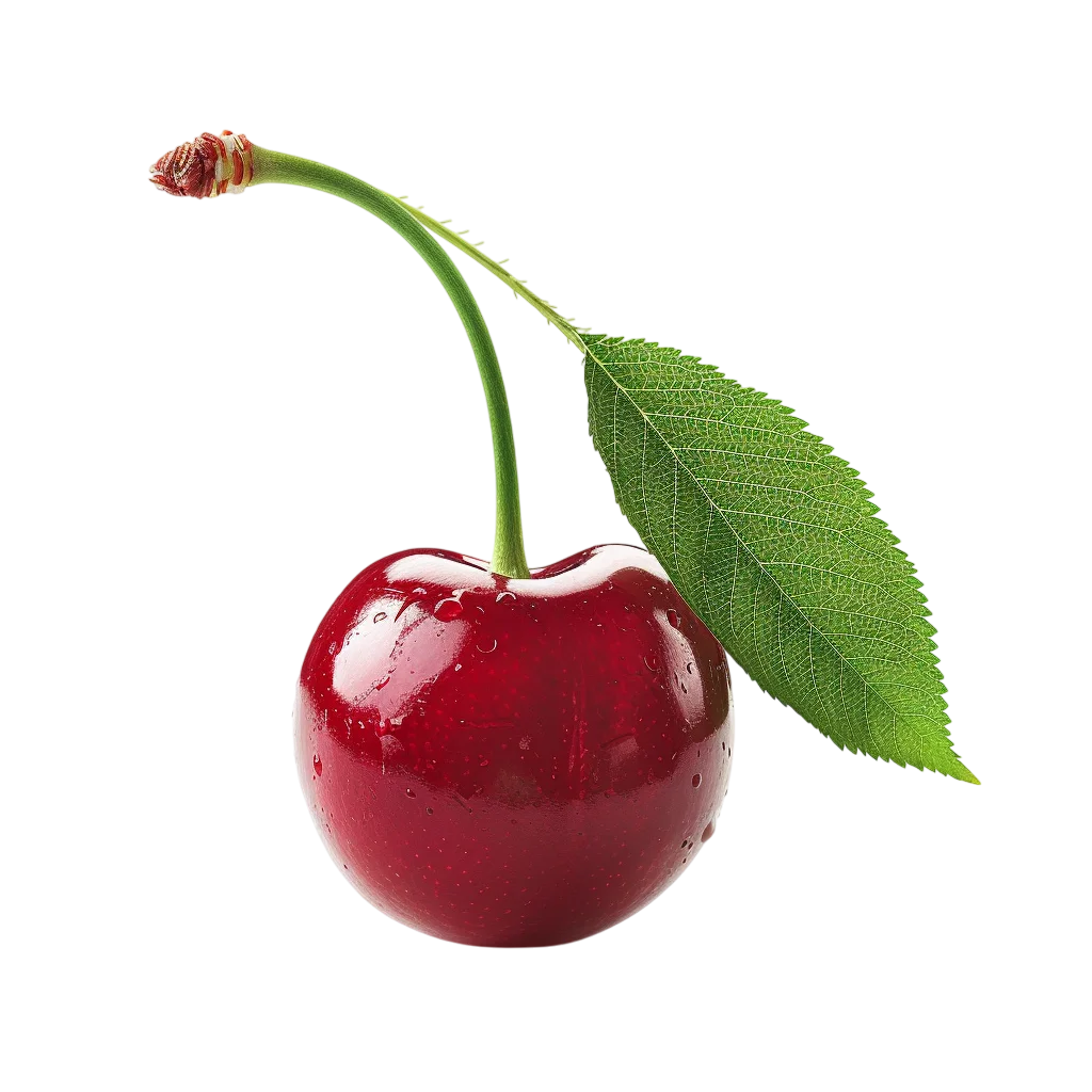 Glossy Red Cherry with Leaf and Stem Free PNG