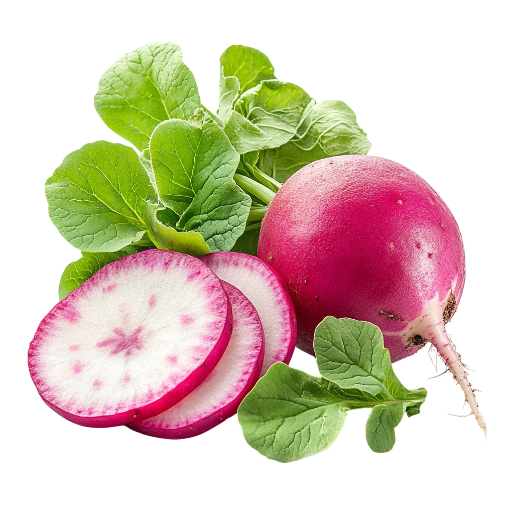 Fresh Red Radish With Green Leaves Bunch PNG