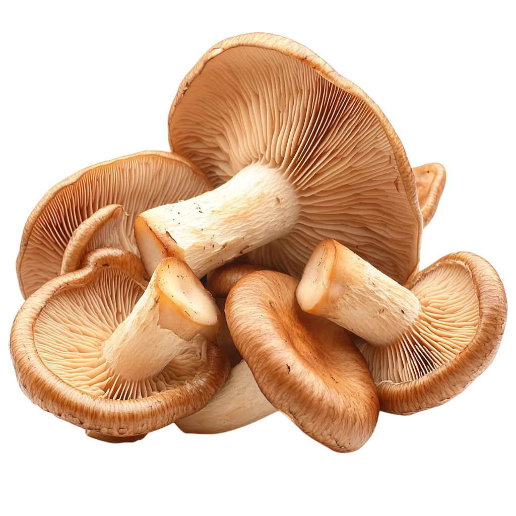 Fresh Sliced Shiitake Mushrooms Group PNG
