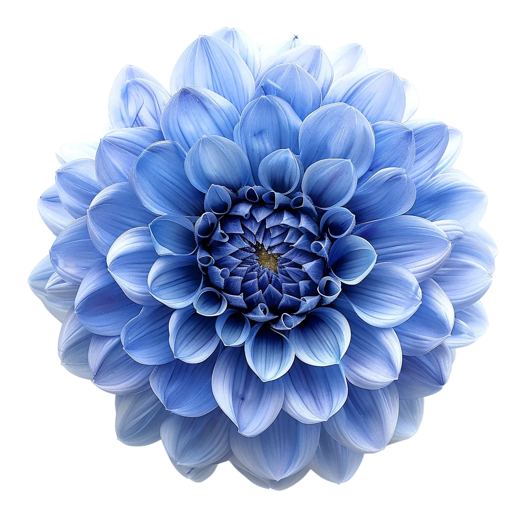 Layered Blue Dahlia Flower Free PNG