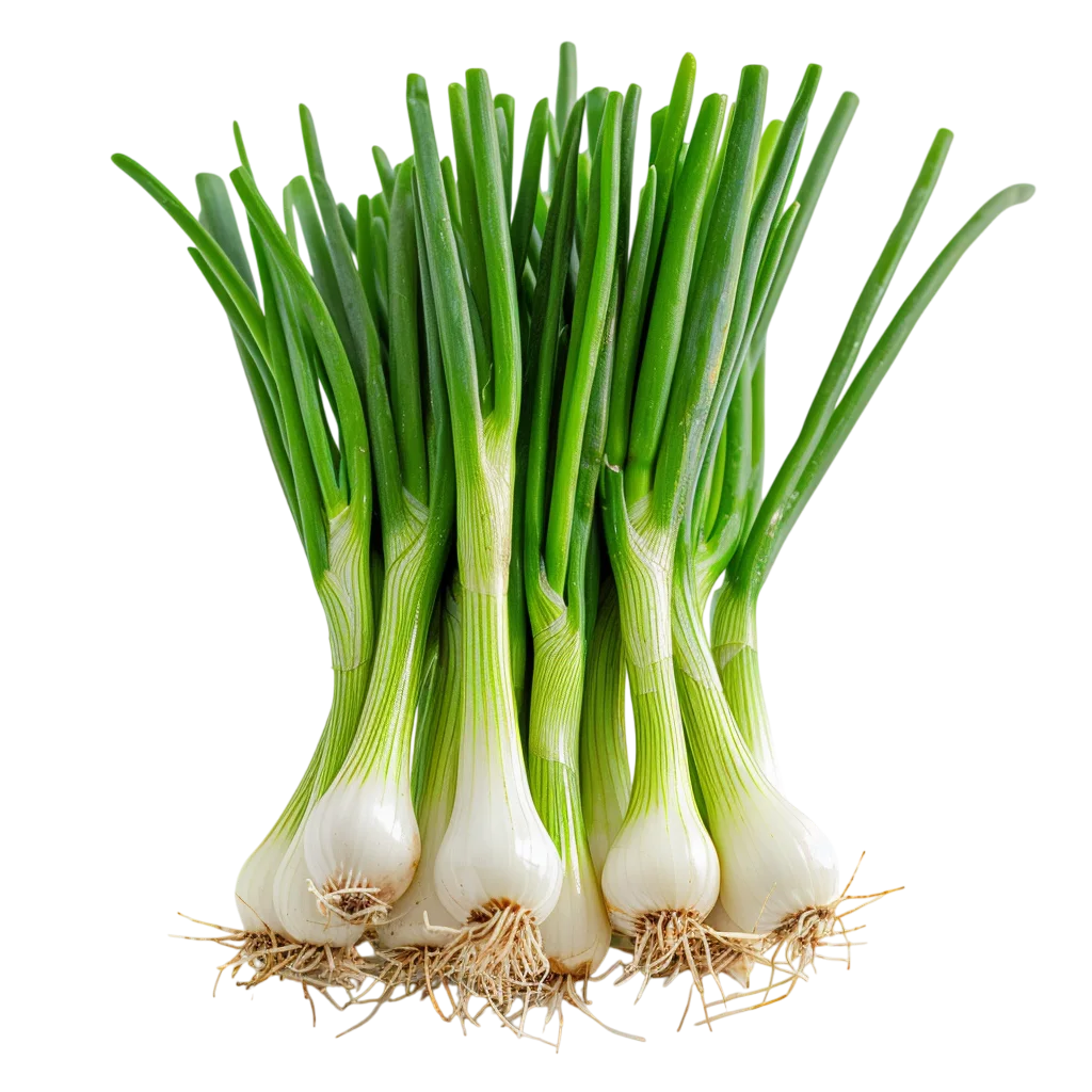 Fresh Green Spring Onion Scallions Bunch PNG