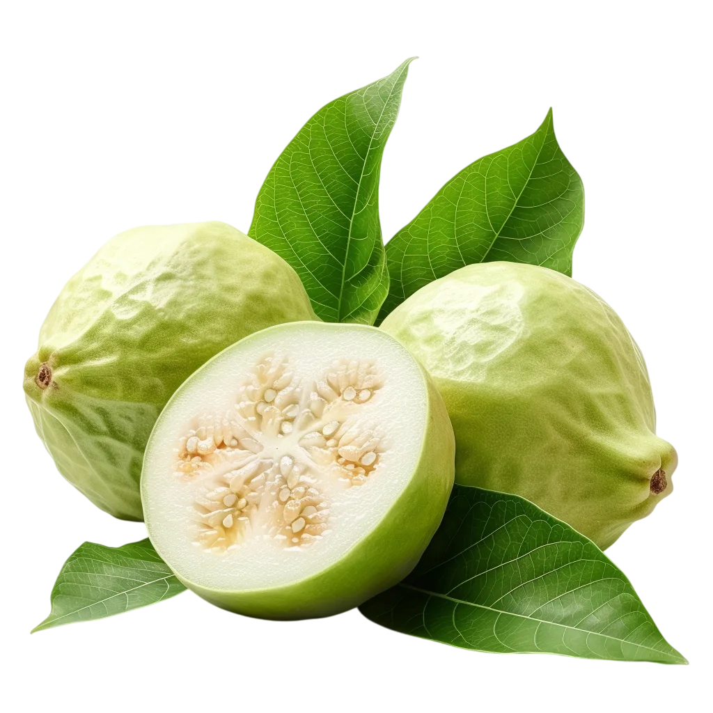 Fresh Guava Fruit With Leaves And Slice PNG