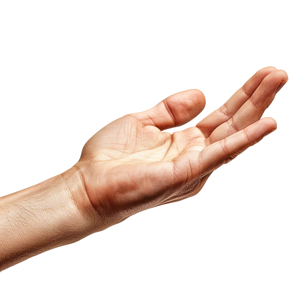 Open Hand Palm Up Reaching Gesture PNG