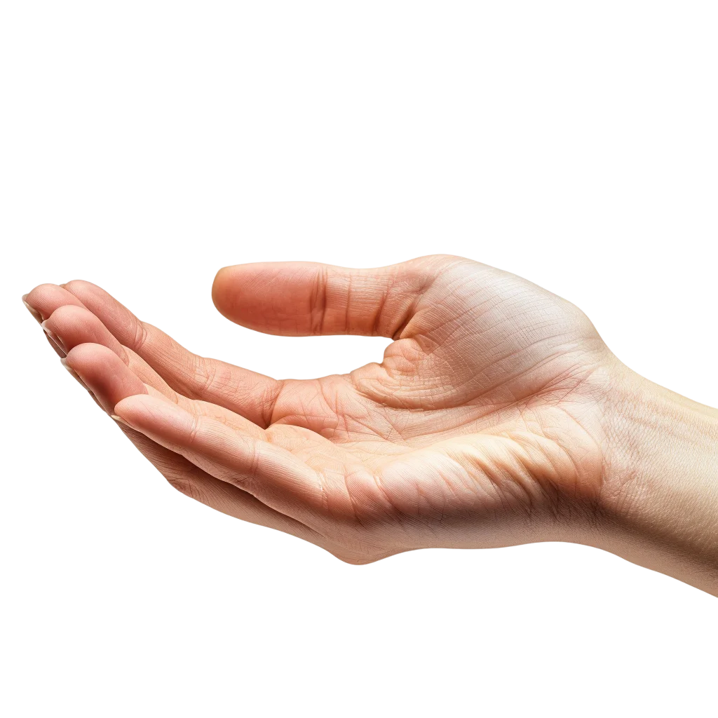 Open Hand Palm Up Offering Gesture PNG