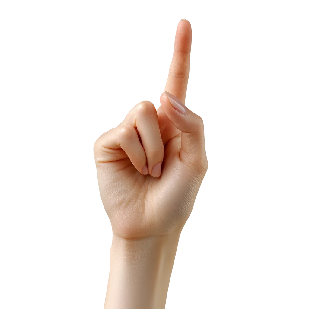 Hand Pointing Up with One Finger – Free PNG