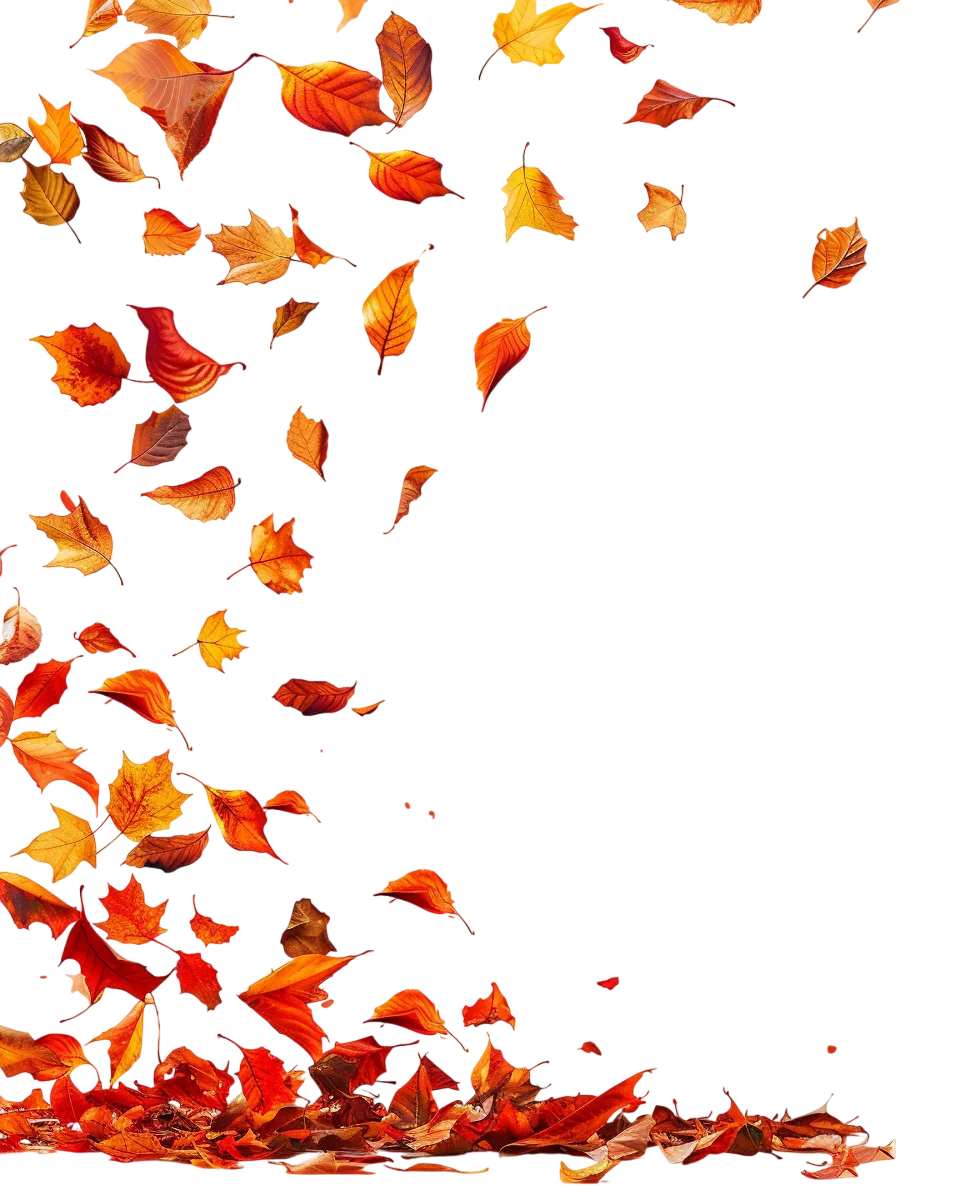 Autumn Leaves Floating Falling Border Free PNG Image