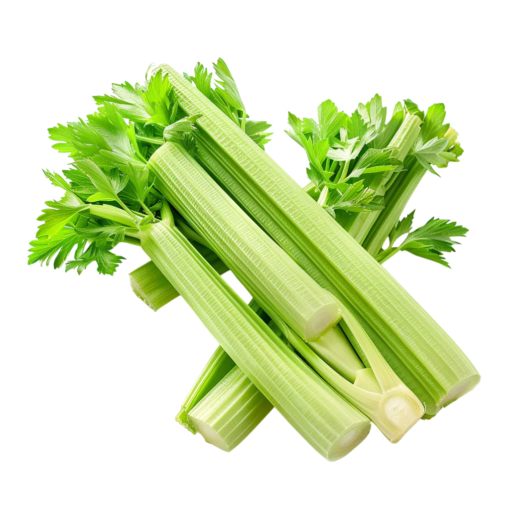 Fresh Celery Stalks Bunch Vegetable PNG