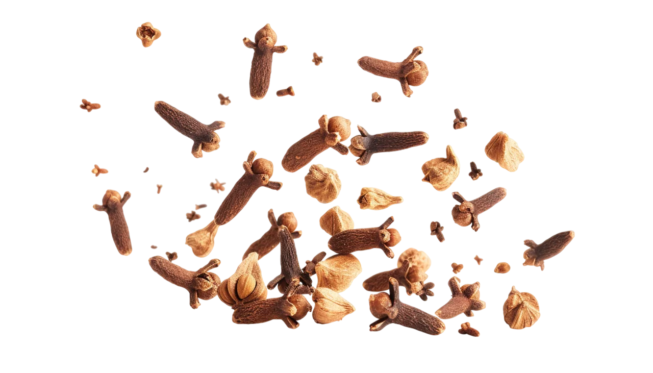 Falling Whole Cloves Spices Free PNG Stock