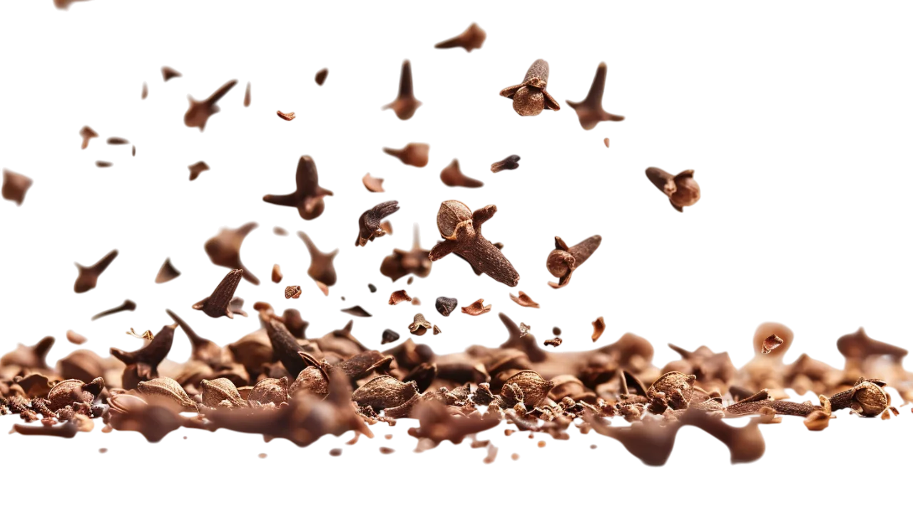 Falling Whole Cloves Spices Free PNG Image