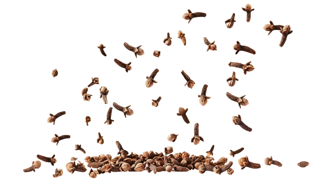 Falling Whole Cloves Spices Free PNG Graphic