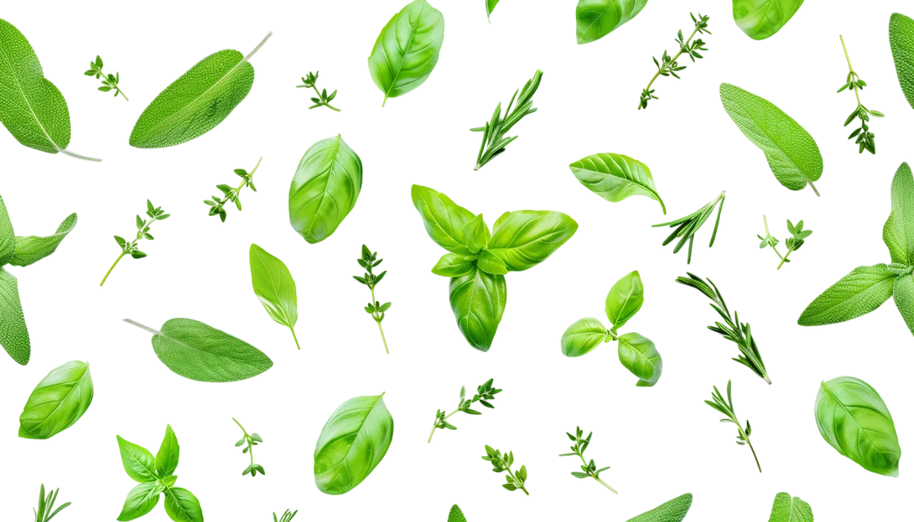 Green Herbs and Leaves Seamless Pattern Free PNG