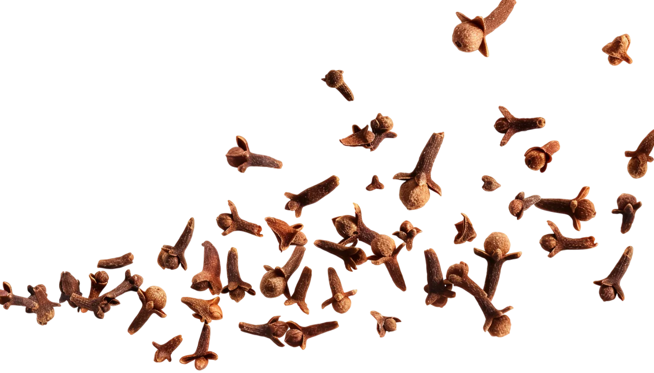 Falling Whole Cloves Spices Free PNG Image