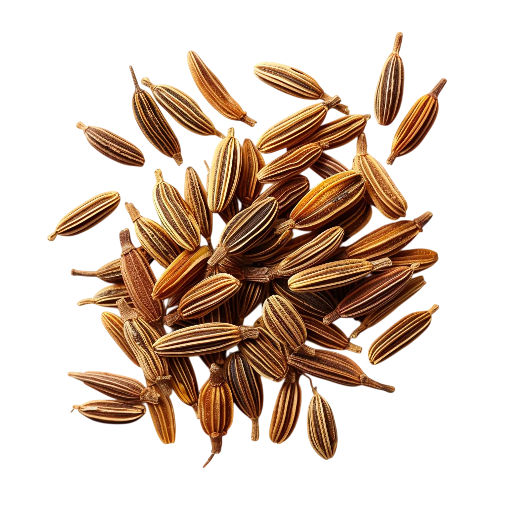 Cumin Seeds Pile Isolated Free PNG Graphic