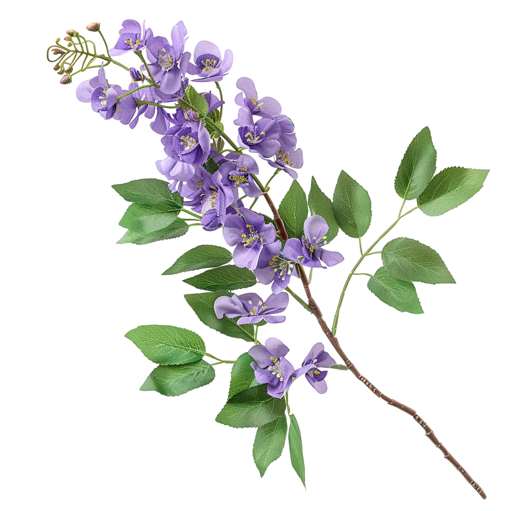 Fresh Purple Wisteria Flower Branch PNG