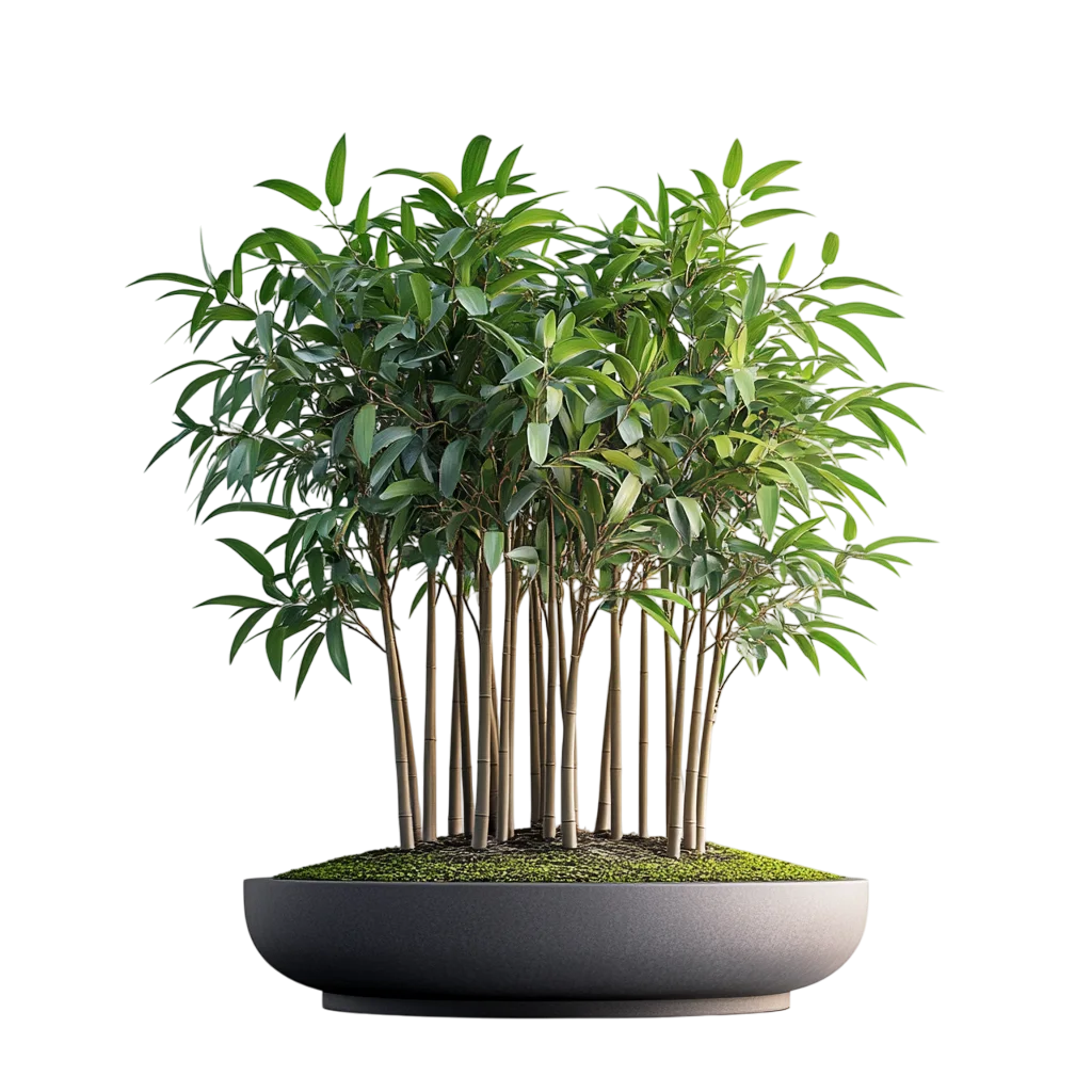 Green Bamboo Plant Pot In Round Planter Free PNG