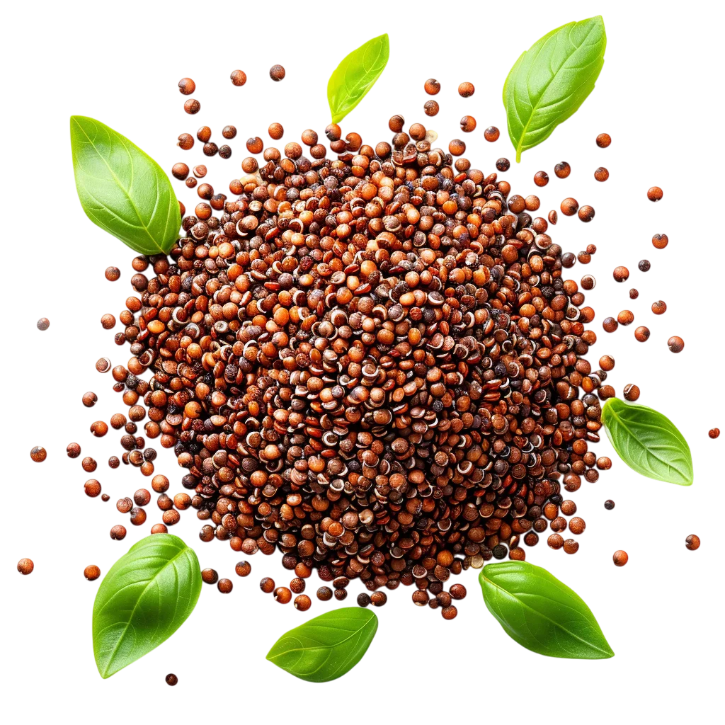 Fresh Quinoa Grains Heap With Herbs PNG