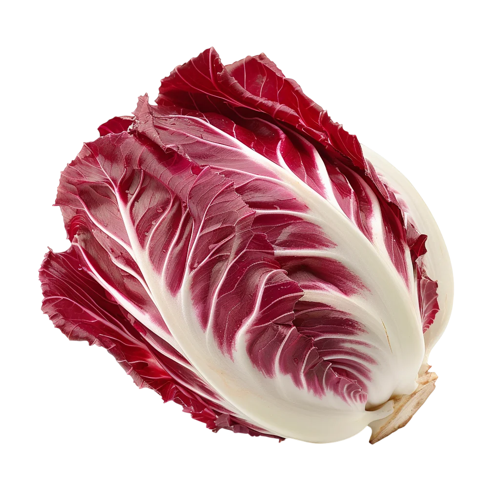 Fresh Radicchio Cabbage Head Half PNG