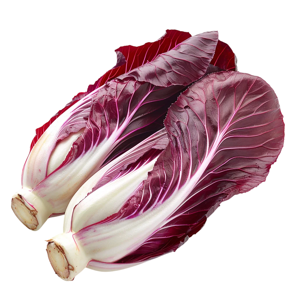 Fresh Radicchio Cabbage Heads Pair PNG