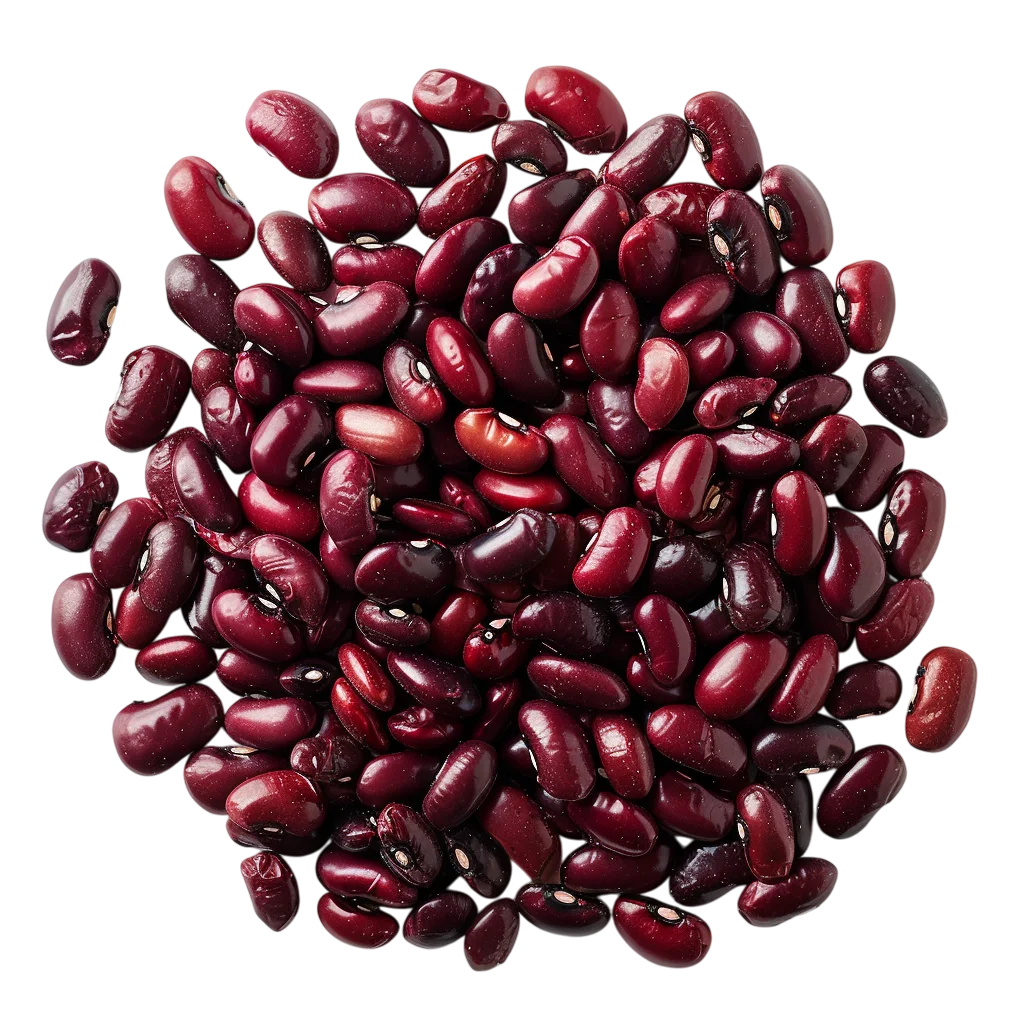 Fresh Dark Red Kidney Beans Pile PNG
