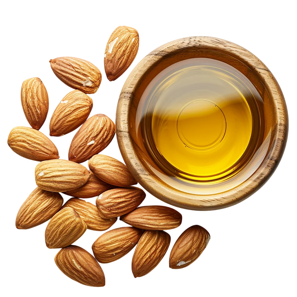 Almond Oil Bowl And Nuts Top View Free PNG