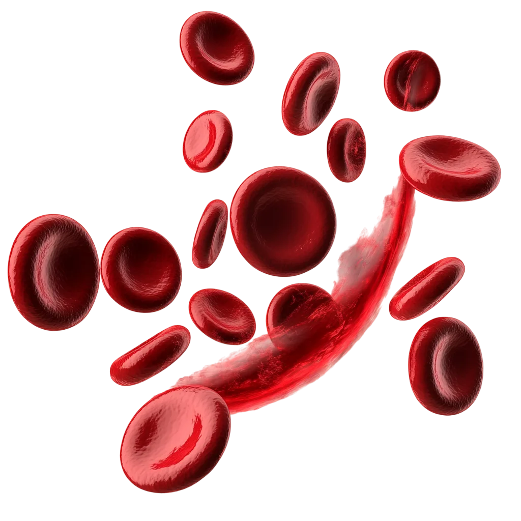 Glossy Red Blood Cells in Motion – Free PNG