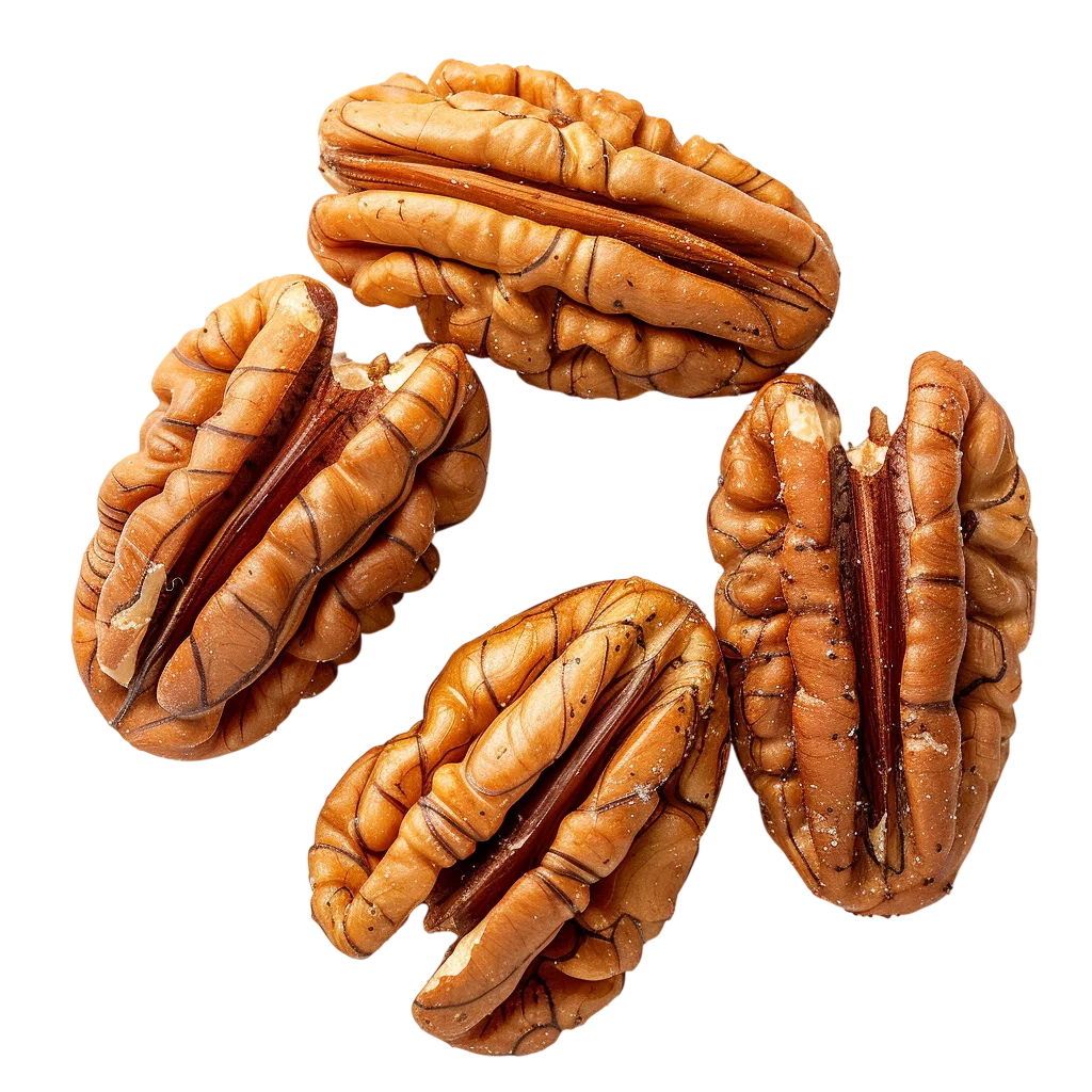 Whole Shelled Pecan Nut Halves Group Isolated Free PNG