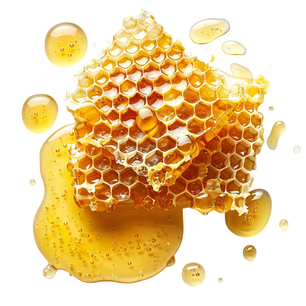 Fresh Honeycomb with Dripping Pure Honey Free PNG
