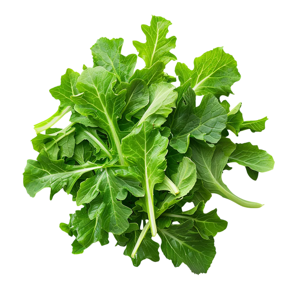 Fresh Arugula Salad Greens Bunch Free PNG Vegetable