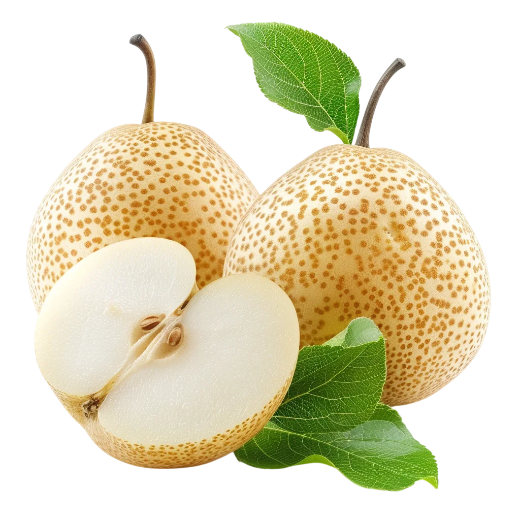 Fresh Asian Pears Whole and Sliced Free PNG Clipart