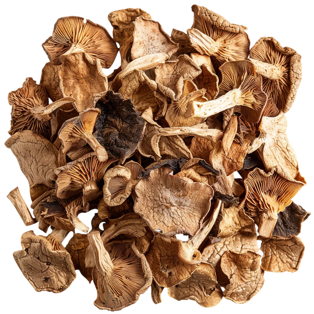 Dried Shiitake Mushrooms Free PNG Cooking Clipart