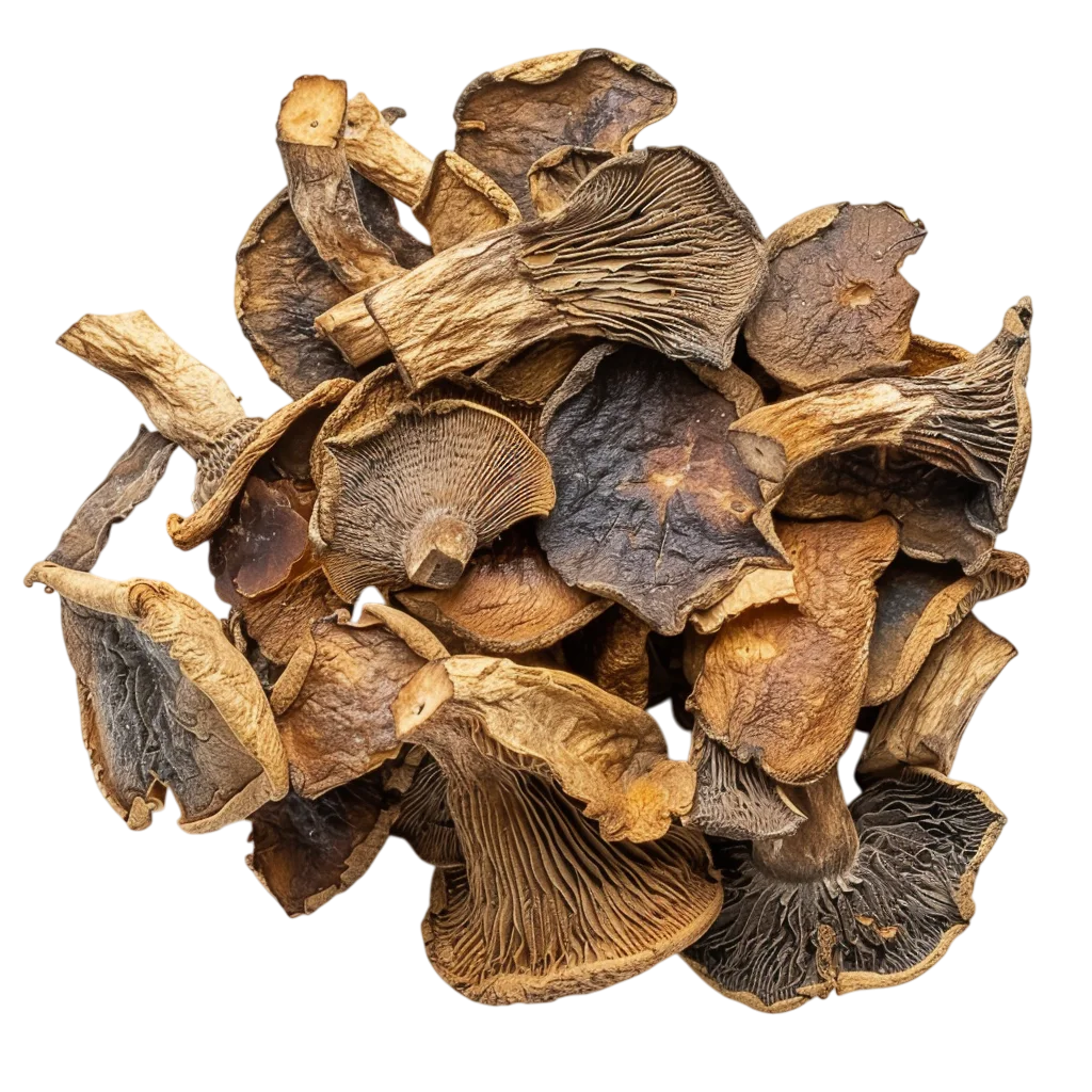 Dried Forest Mushrooms Pile Free PNG Food Clipart