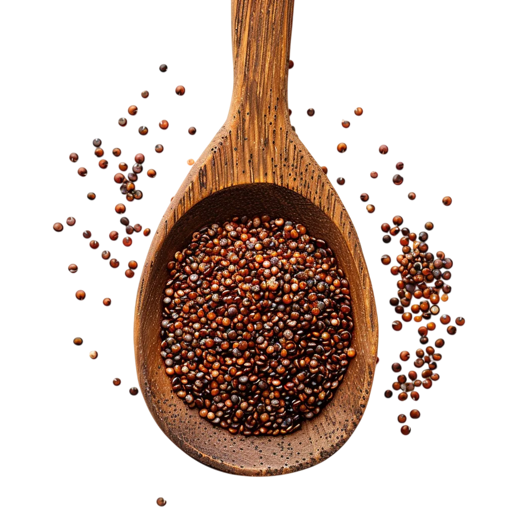 Wooden Spoon of Brown Seeds Free PNG
